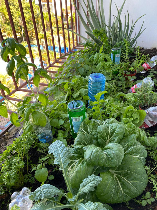 Huerta en el balcon!!