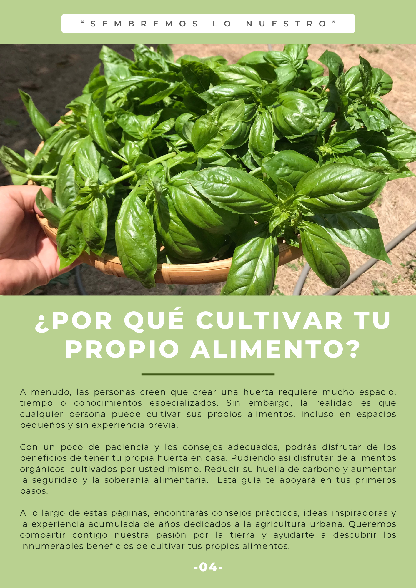 EBOOK - Cultiva tus propios alimentos